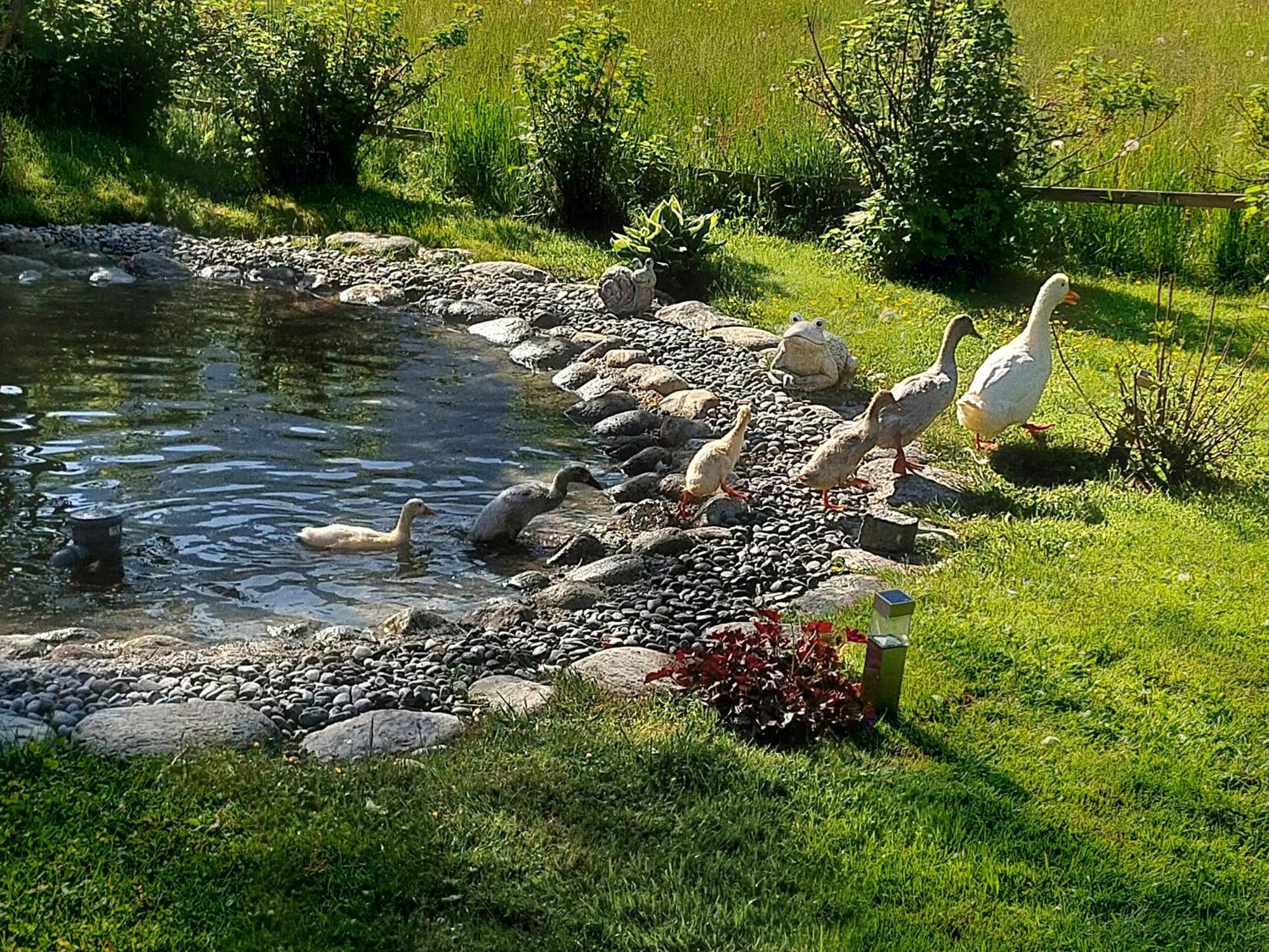 Hauseggerhof Villa Längenfeld Eksteriør bilde