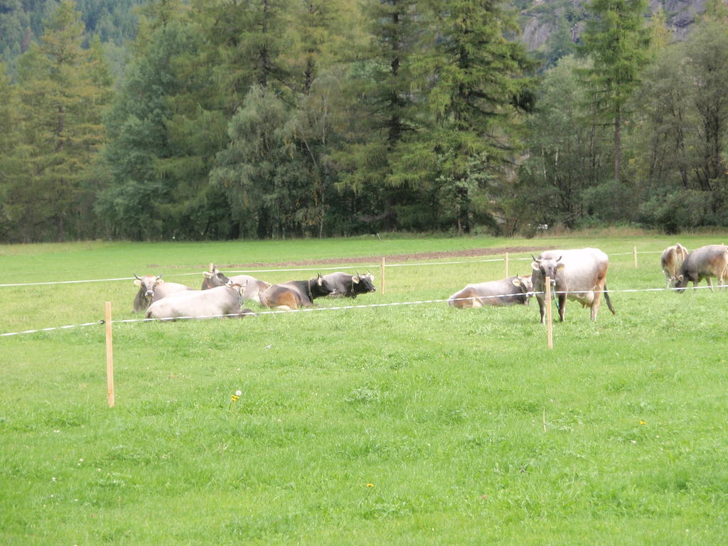 Hauseggerhof Villa Längenfeld Eksteriør bilde